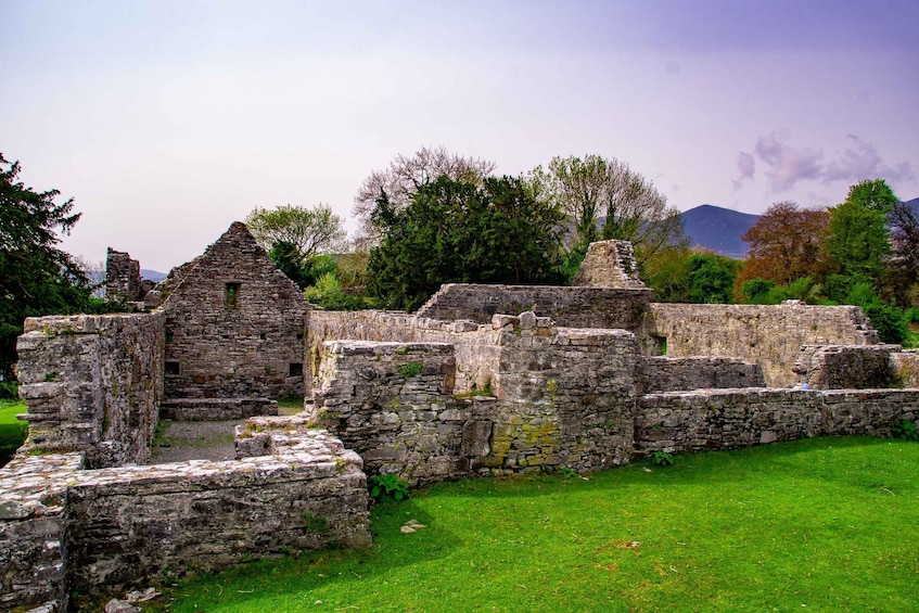 Killarney: Guided Boat Tour to Innisfallen Island