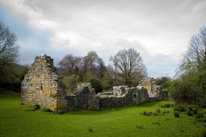 Picture 11 for Activity Killarney: Guided Boat Tour to Innisfallen Island