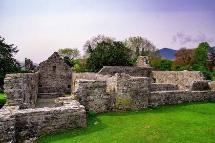 Killarney: Guided Boat Tour to Innisfallen Island