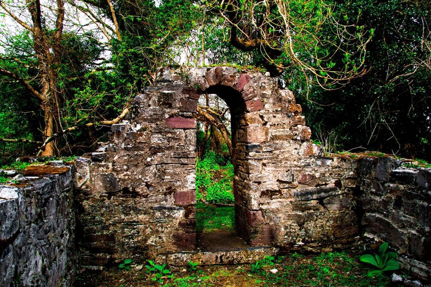 Picture 17 for Activity Killarney: Guided Boat Tour to Innisfallen Island