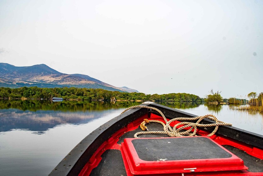 Picture 3 for Activity Killarney: Guided Boat Tour to Innisfallen Island