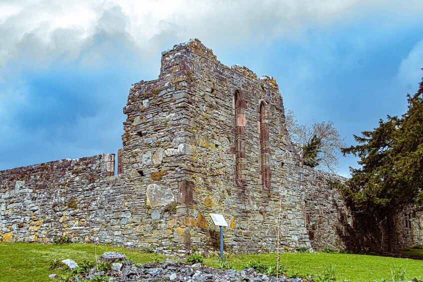 Picture 2 for Activity Killarney: Guided Boat Tour to Innisfallen Island