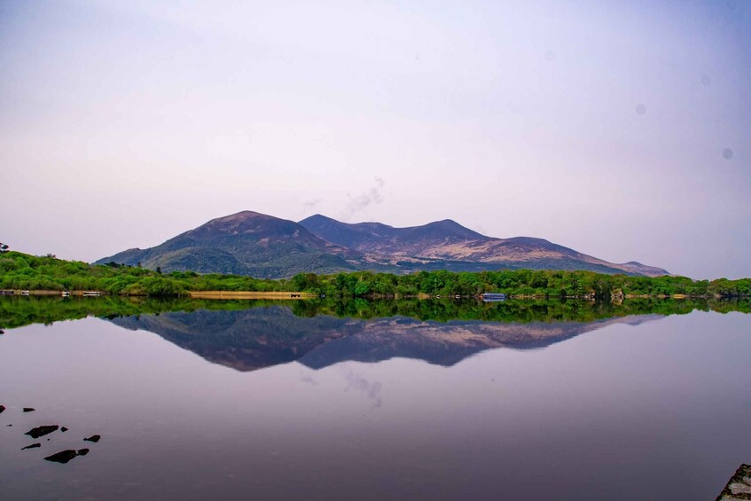 Picture 9 for Activity Killarney: Guided Boat Tour to Innisfallen Island