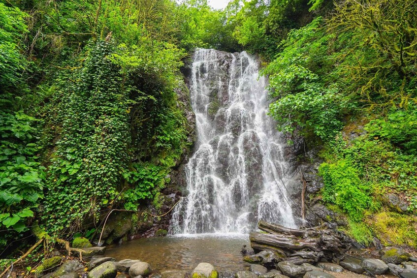 Picture 7 for Activity Wine & Dine Tour To Batumi Waterfalls - Mountainous Adjara