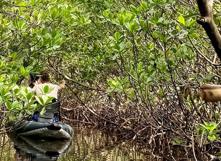 Picture 23 for Activity Fort Pierce: 8-hr Jungle and Lagoon passage to Ocean in FL