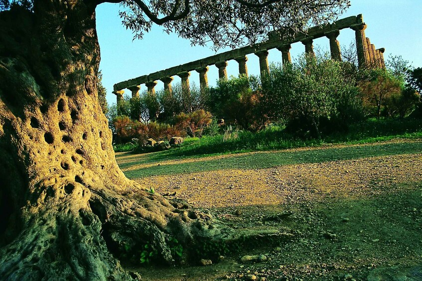 Picture 3 for Activity From Taormina: Valley of The Temples & Piazza Armerina Tour