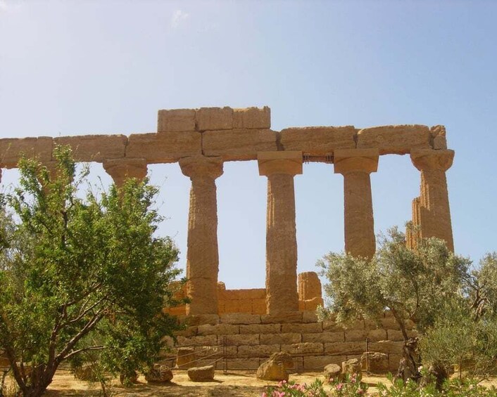 Picture 4 for Activity From Taormina: Valley of The Temples & Piazza Armerina Tour