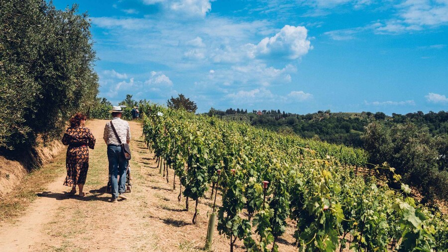 Wine tour in a family winery in Tuscany