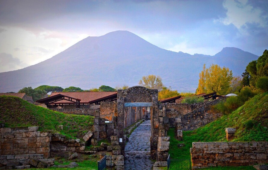 Picture 4 for Activity Vesuvius and Pompeii Transfer + Entrance for the Vesuvio