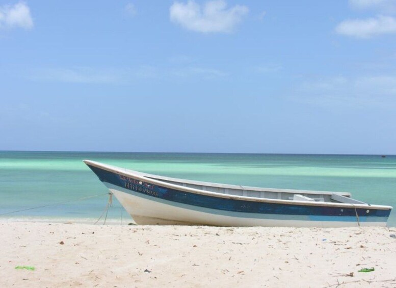 Picture 4 for Activity Bahía de las Aguilas: Beach Day Trip by Boat