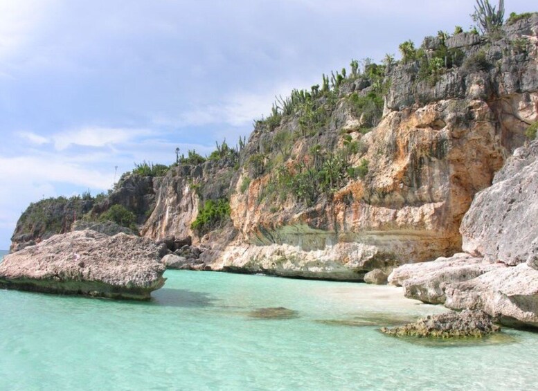 Picture 5 for Activity Bahía de las Aguilas: Beach Day Trip by Boat