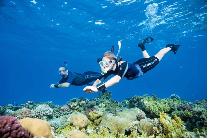 Picture 4 for Activity Sesimbra: Snorkeling in the Ocean