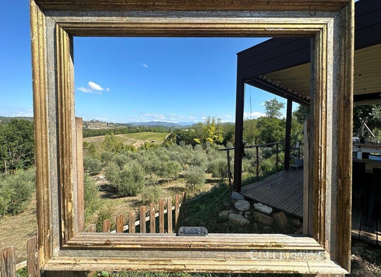 Picture 20 for Activity Cooking class on terrace at Fattoria del Chianti with lunch