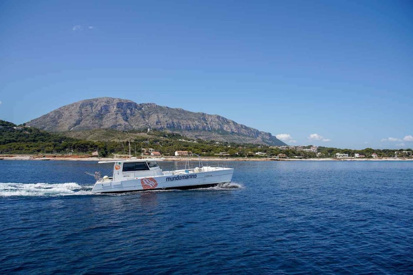 Picture 4 for Activity From Denia or Javea: 3 Cape Boat Excursion with Snorkeling
