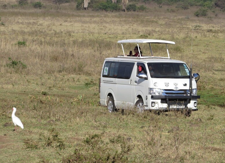 Picture 3 for Activity Nairobi national park: Sunrise and Sunset Tours