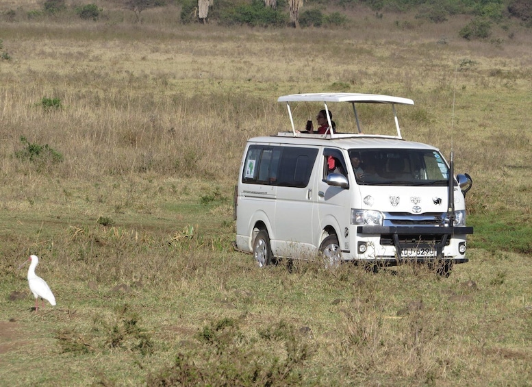 Picture 3 for Activity Nairobi national park: Sunrise and Sunset Tours