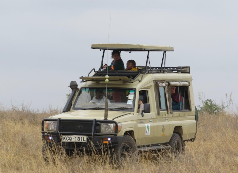 Picture 4 for Activity Nairobi national park: Sunrise and Sunset Tours