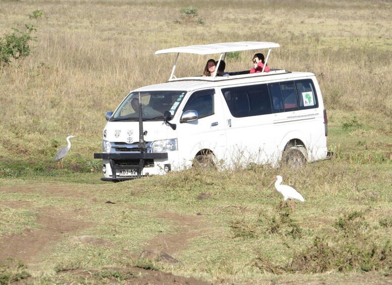 Picture 2 for Activity Nairobi national park: Sunrise and Sunset Tours