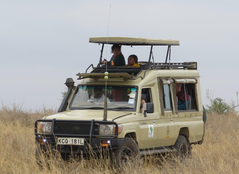 Picture 4 for Activity Nairobi national park: Sunrise and Sunset Tours