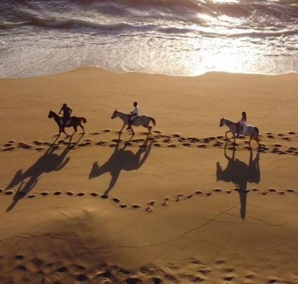 Picture 2 for Activity Melides: Horseback Riding on Melides Beach