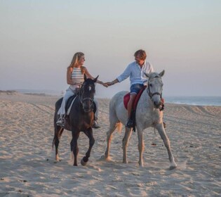 Melides: Horseback Riding on Melides Beach