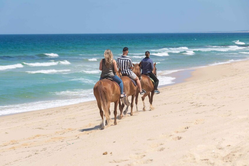 Picture 11 for Activity Melides: Horseback Riding on Melides Beach