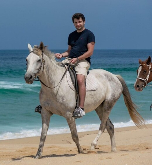 Picture 4 for Activity Melides: Horseback Riding on Melides Beach