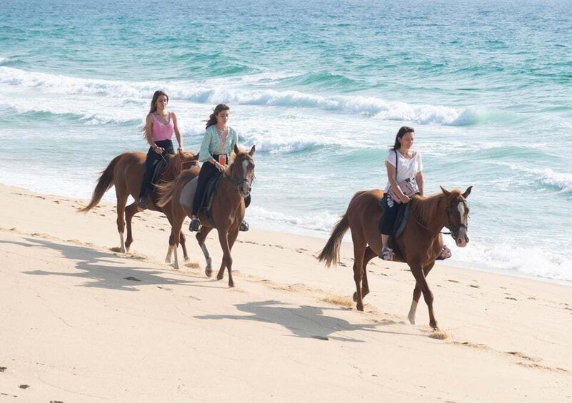 Picture 8 for Activity Melides: Horseback Riding on Melides Beach