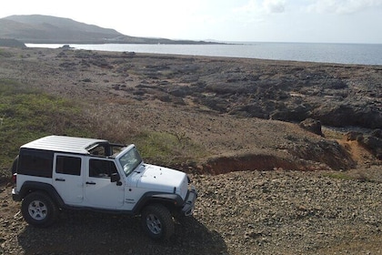 Full-Day Aruba Self-Guided Jeep Rental with Transport