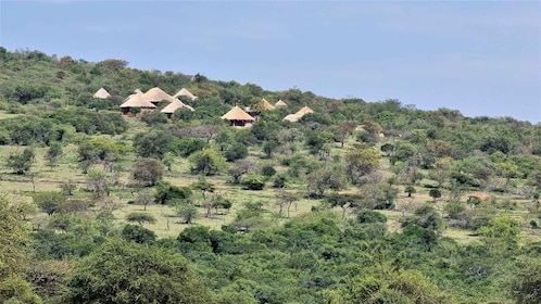 From Arusha: 6 Days Private Safari Eastern Great Rift Valley