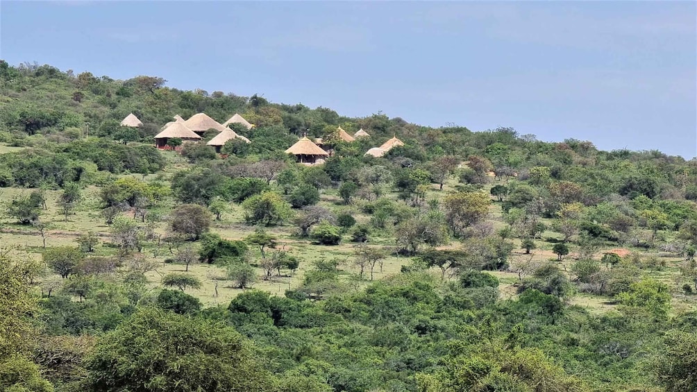 From Arusha: 6 Day Private Safari Eastern Great Rift Valley