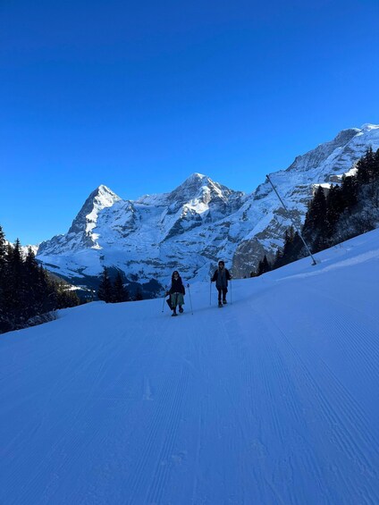 Picture 7 for Activity Hiking day in the Swiss Alps