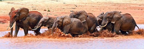 3-tägige Tsavo Ost und West Wildlife Safari von Mombasa aus