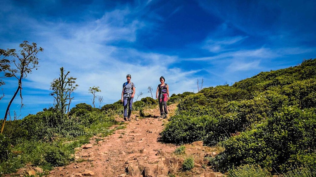 Picture 7 for Activity From Iglesias: jeep tour with trekking