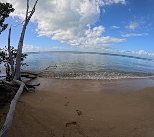 Vieque: Power Boat Turtle Snorkel and Beach Tour with Lunch