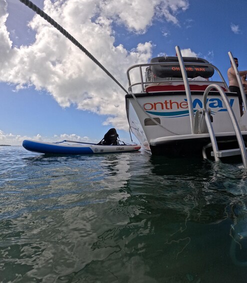 Picture 3 for Activity Vieque: Swim with Turtles Beach, Waters Toys, Snorkel