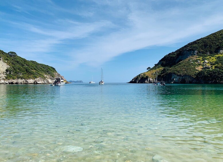 Picture 4 for Activity Waiheke Island: Gulf Marine Park Sailing Adventure & Lunch