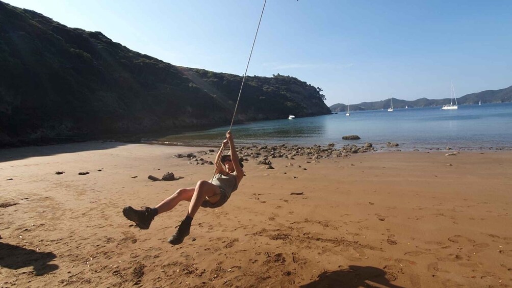 Picture 6 for Activity Waiheke Island: Gulf Marine Park Sailing Adventure & Lunch