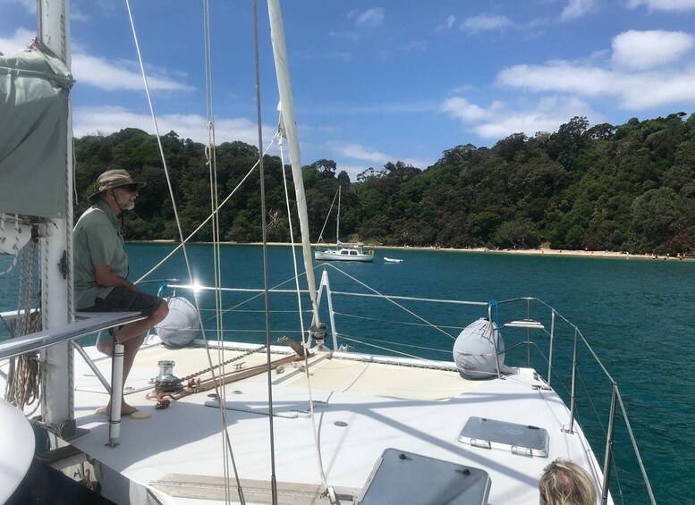 Picture 3 for Activity Waiheke Island: Gulf Marine Park Sailing Adventure & Lunch