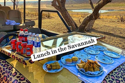 Victoriafälle: Mittagessen in der Savanne