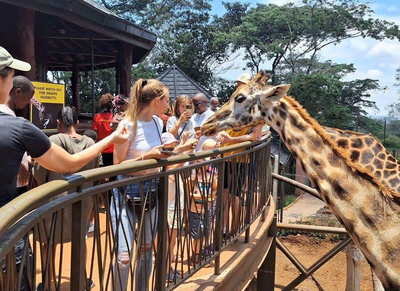 Elephant Orphanage, Giraffe Center, and Bomas of Kenya