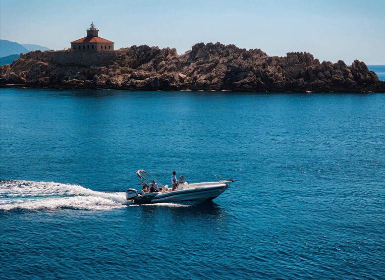 Picture 9 for Activity Dubrovnik: Elaphite Islands Private Speedboat Full-Day Tour