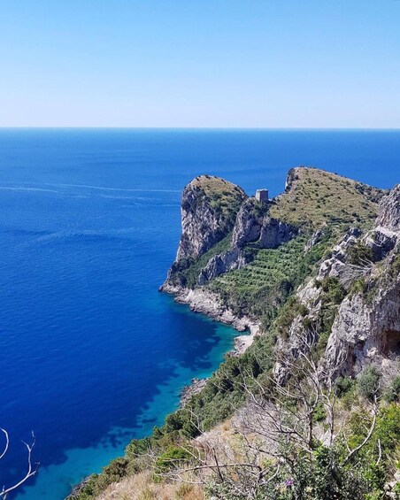 Picture 1 for Activity Private boat tour from Positano to Capri island