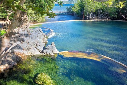 Privat byrundtur i Coron: Maquinit Hot Spring