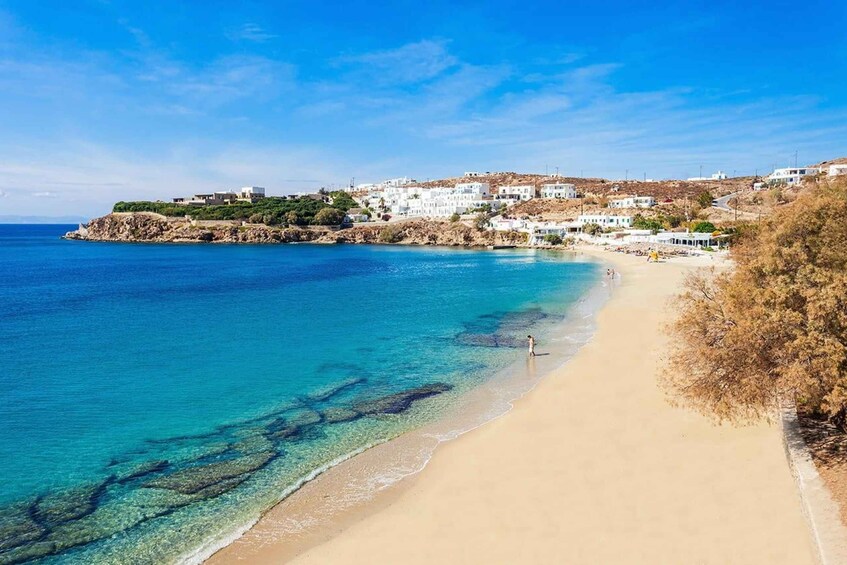 Picture 4 for Activity Mykonos: Private Tour Island With A Local