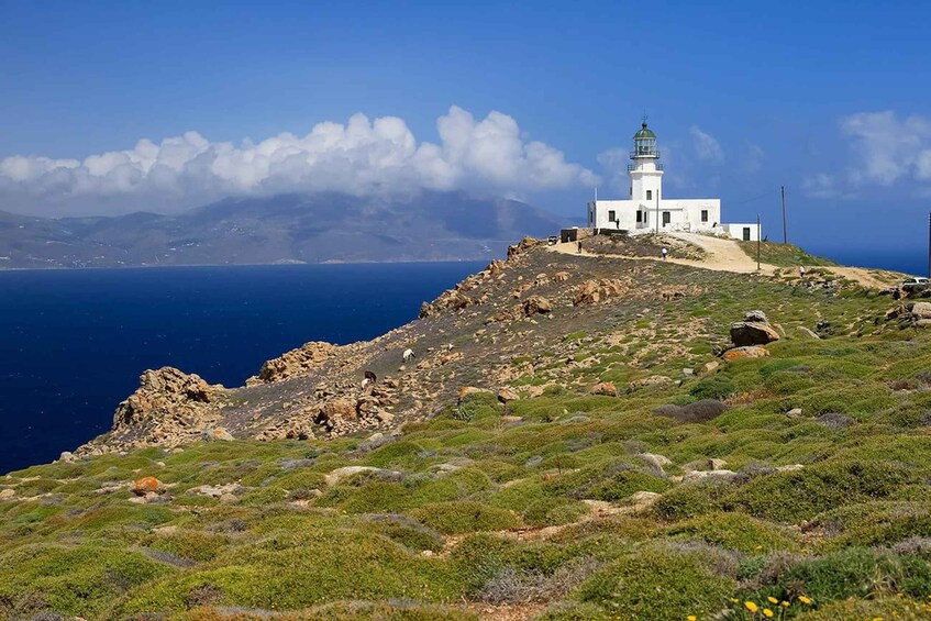 Picture 5 for Activity Mykonos: Private Tour Island With A Local