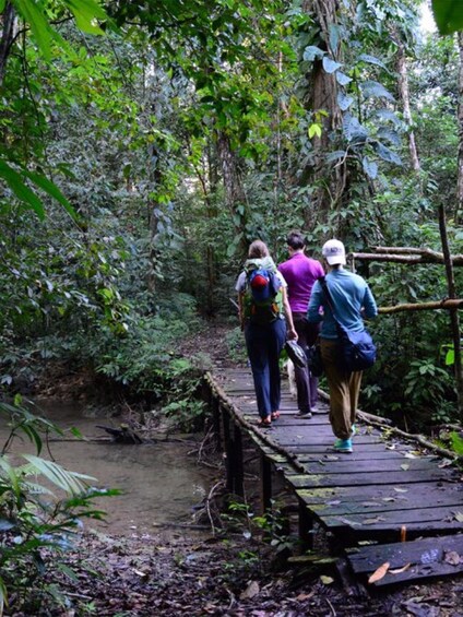 Picture 1 for Activity From San Cristóbal: Lacandona Jungle 3 Days Tour
