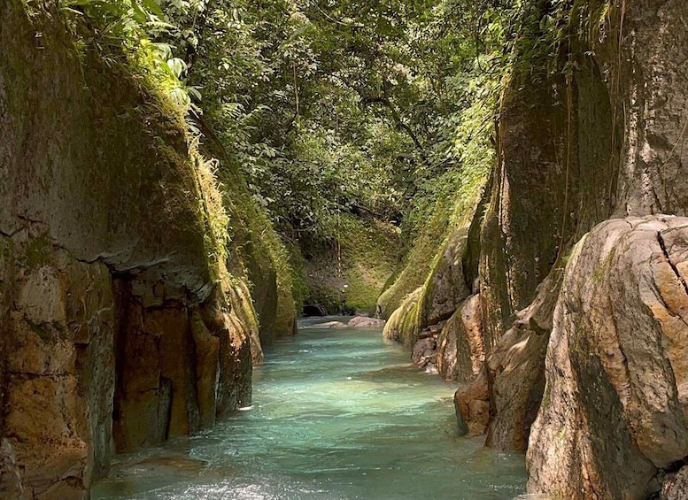 Picture 2 for Activity Private Full day canyoning tour from Bukit Lawang