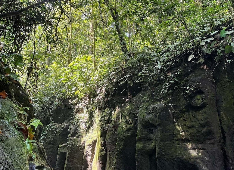 Picture 7 for Activity Private Full day canyoning tour from Bukit Lawang