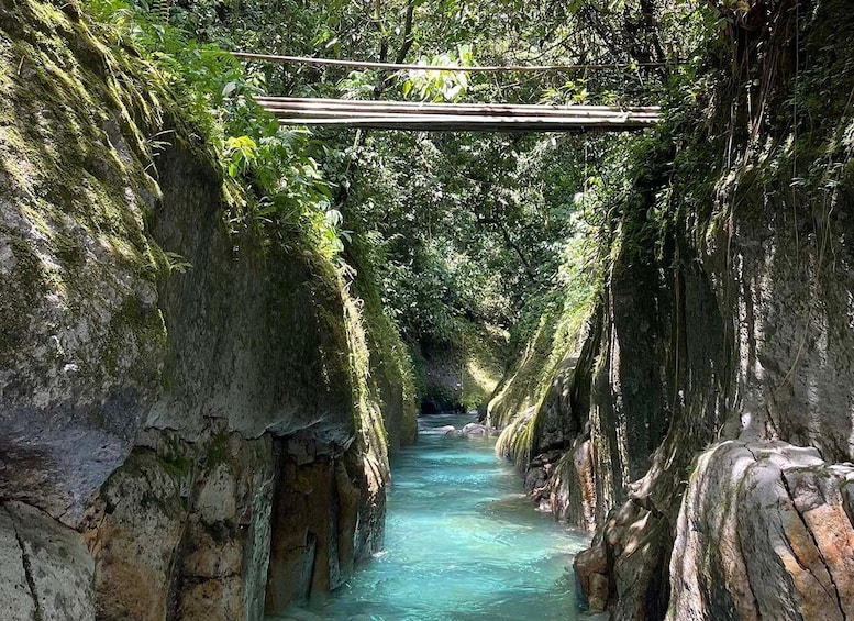 Picture 4 for Activity Private Full day canyoning tour from Bukit Lawang